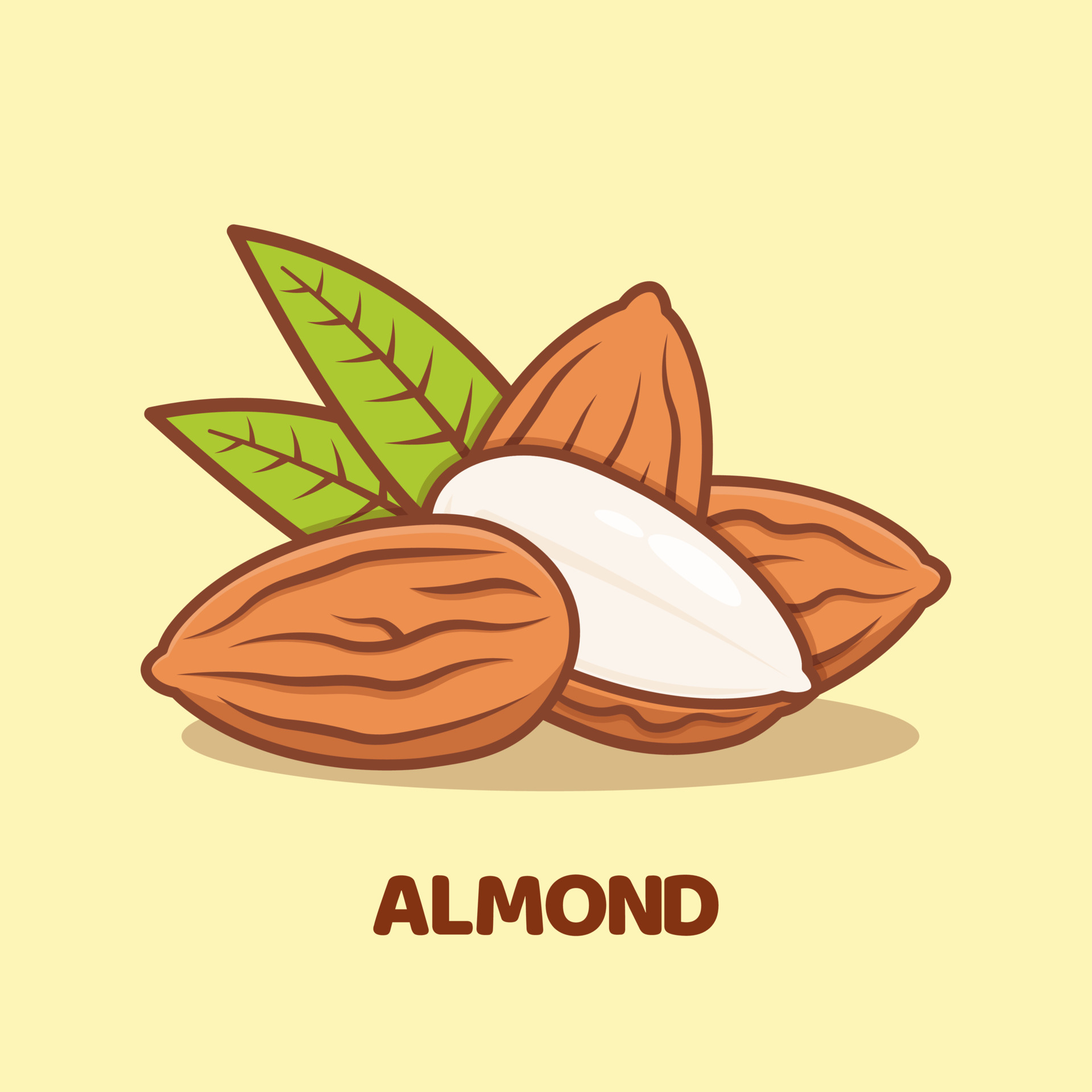 vecteezy_almond-cartoon-vector-icon-illustration-isolated_137080951.jpg